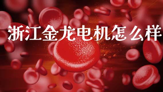 浙江金龙电机怎么样_https://m.lcpcjs.com_恒指期货保证金_第1张