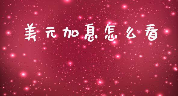 美元加息怎么看_https://m.lcpcjs.com_期货交易时间_第1张
