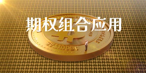 期权组合应用_https://m.lcpcjs.com_恒指期货保证金_第1张