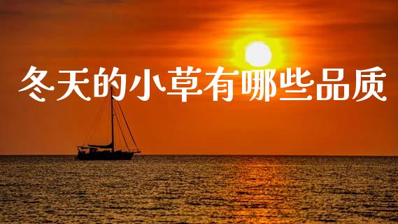 冬天的小草有哪些品质_https://m.lcpcjs.com_期货交易_第1张