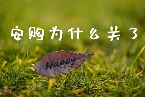 安购为什么关了_https://m.lcpcjs.com_期货交易时间_第1张