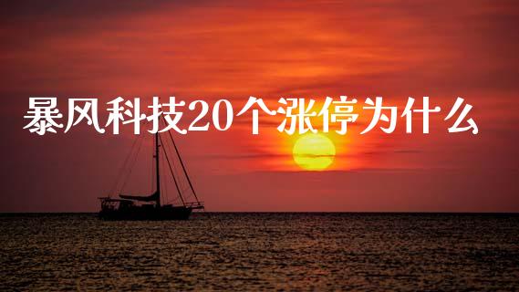 暴风科技20个涨停为什么_https://m.lcpcjs.com_恒指期货保证金_第1张