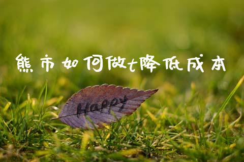 熊市如何做t降低成本_https://m.lcpcjs.com_白银期货保证金_第1张
