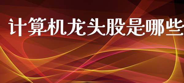 计算机龙头股是哪些_https://m.lcpcjs.com_期货交易_第1张