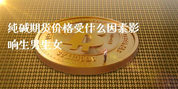 纯碱期货价格受什么因素影响生男生女_https://m.lcpcjs.com_期货交易时间_第1张