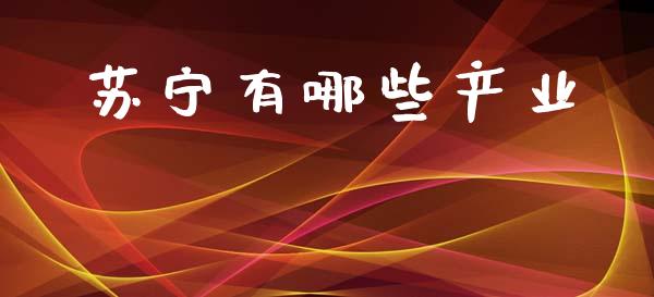 苏宁有哪些产业_https://m.lcpcjs.com_白银期货保证金_第1张
