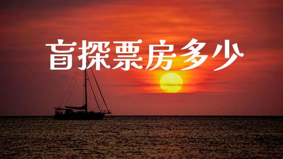 盲探票房多少_https://m.lcpcjs.com_白银期货保证金_第1张