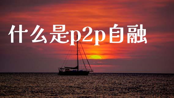 什么是p2p自融_https://m.lcpcjs.com_恒指期货保证金_第1张