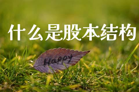 什么是股本结构_https://m.lcpcjs.com_期货交易_第1张