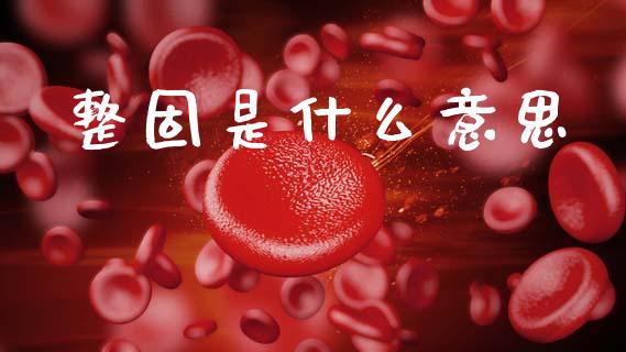 整固是什么意思_https://m.lcpcjs.com_恒指期货保证金_第1张