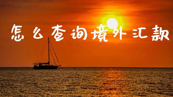 怎么查询境外汇款_https://m.lcpcjs.com_白银期货保证金_第1张
