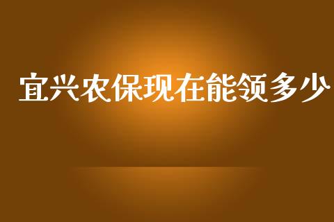 宜兴农保现在能领多少_https://m.lcpcjs.com_恒指期货保证金_第1张
