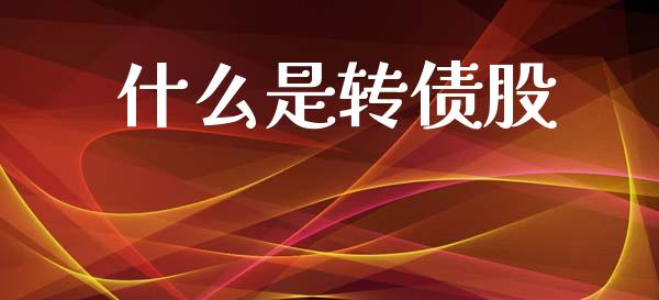 什么是转债股_https://m.lcpcjs.com_白银期货保证金_第1张