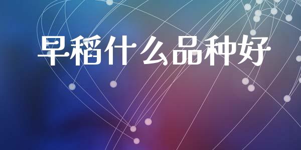 早稻什么品种好_https://m.lcpcjs.com_恒指期货保证金_第1张