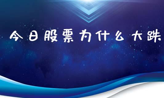 今日股票为什么大跌_https://m.lcpcjs.com_白银期货保证金_第1张