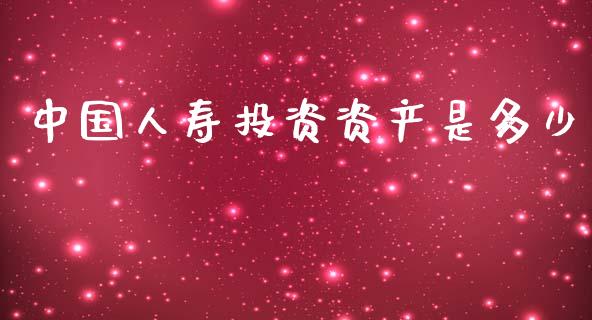 中国人寿投资资产是多少_https://m.lcpcjs.com_白银期货保证金_第1张