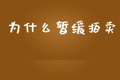 为什么暂缓拍卖_https://m.lcpcjs.com_恒指期货保证金_第1张