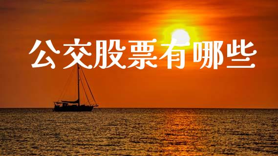 公交股票有哪些_https://m.lcpcjs.com_白银期货保证金_第1张