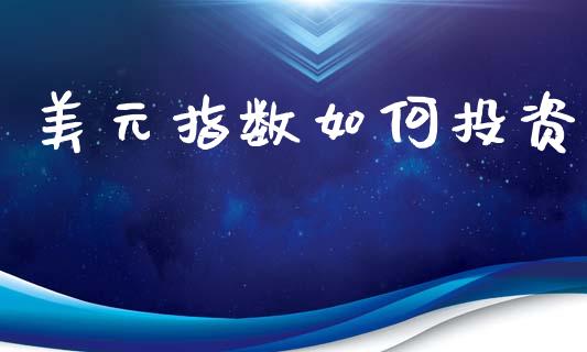 美元指数如何投资_https://m.lcpcjs.com_白银期货保证金_第1张
