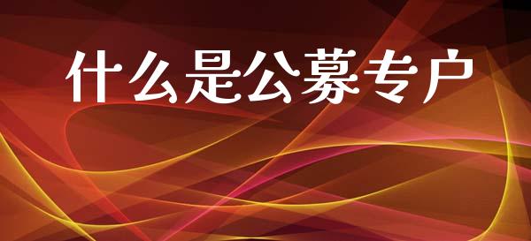 什么是公募专户_https://m.lcpcjs.com_期货交易时间_第1张