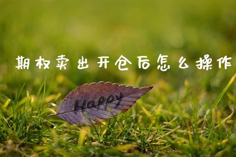 期权卖出开仓后怎么操作_https://m.lcpcjs.com_恒指期货保证金_第1张