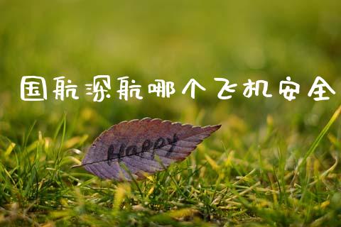 国航深航哪个飞机安全_https://m.lcpcjs.com_白银期货保证金_第1张
