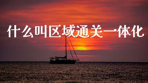什么叫区域通关一体化_https://m.lcpcjs.com_期货交易时间_第1张