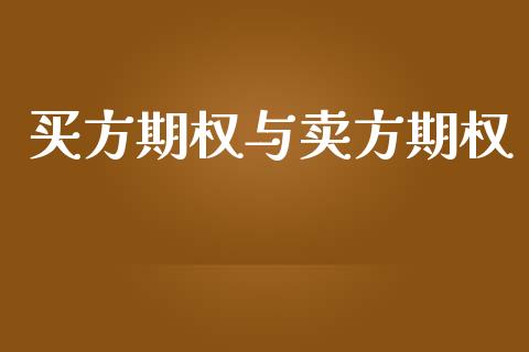 买方期权与卖方期权_https://m.lcpcjs.com_恒指期货保证金_第1张