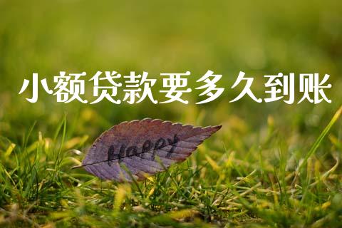 小额贷款要多久到账_https://m.lcpcjs.com_恒指期货保证金_第1张