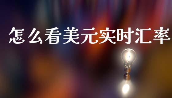 怎么看美元实时汇率_https://m.lcpcjs.com_恒指期货保证金_第1张