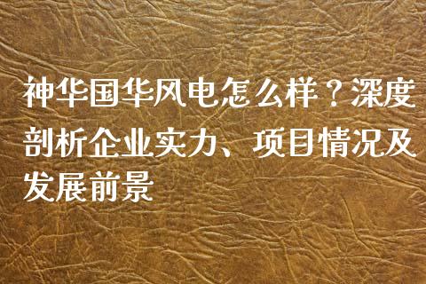 神华国华风电怎么样？深度剖析企业实力、项目情况及发展前景_https://m.lcpcjs.com_恒指期货保证金_第1张