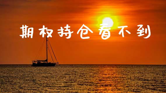期权持仓看不到_https://m.lcpcjs.com_白银期货保证金_第1张