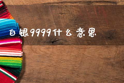 白银9999什么意思_https://m.lcpcjs.com_期货交易_第1张