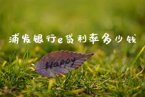 浦发银行e贷利率多少钱_https://m.lcpcjs.com_恒指期货保证金_第1张
