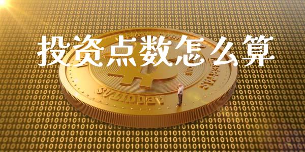 投资点数怎么算_https://m.lcpcjs.com_恒指期货保证金_第1张