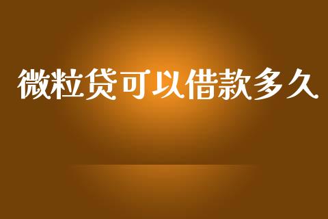 微粒贷可以借款多久_https://m.lcpcjs.com_白银期货保证金_第1张