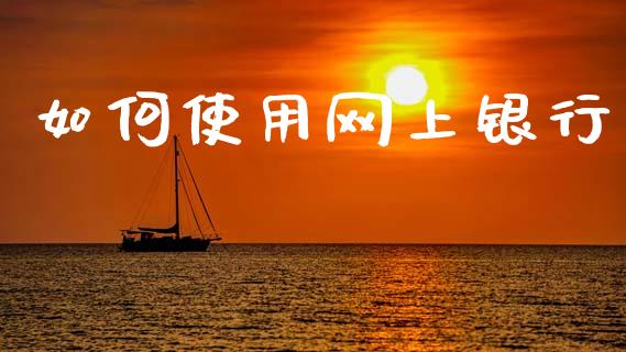如何使用网上银行_https://m.lcpcjs.com_恒指期货保证金_第1张