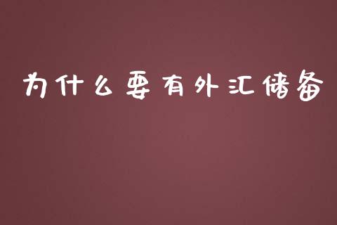 为什么要有外汇储备_https://m.lcpcjs.com_恒指期货保证金_第1张