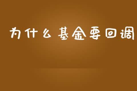为什么基金要回调_https://m.lcpcjs.com_期货交易时间_第1张