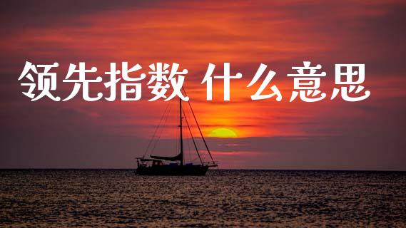 领先指数 什么意思_https://m.lcpcjs.com_期货交易_第1张