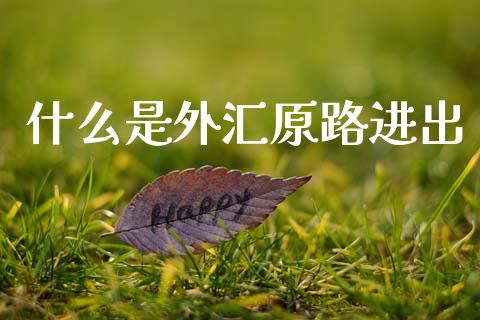 什么是外汇原路进出_https://m.lcpcjs.com_白银期货保证金_第1张