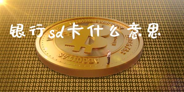 银行sd卡什么意思_https://m.lcpcjs.com_白银期货保证金_第1张