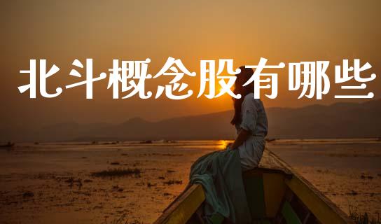 北斗概念股有哪些_https://m.lcpcjs.com_白银期货保证金_第1张