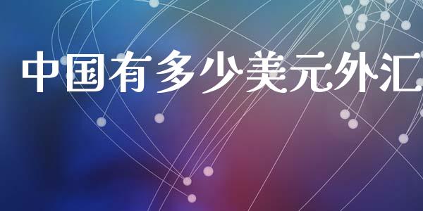 中国有多少美元外汇_https://m.lcpcjs.com_白银期货保证金_第1张