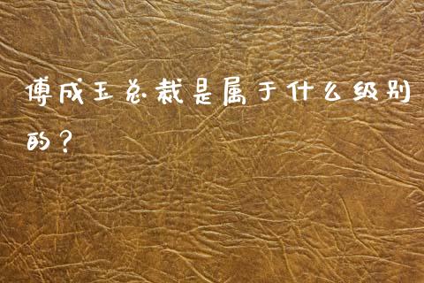 傅成玉总裁是属于什么级别的？_https://m.lcpcjs.com_期货交易_第1张