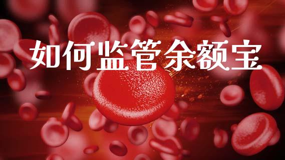 如何监管余额宝_https://m.lcpcjs.com_恒指期货保证金_第1张
