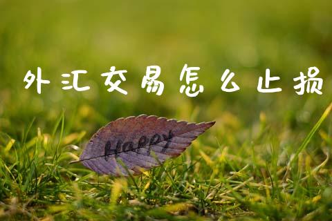 外汇交易怎么止损_https://m.lcpcjs.com_期货交易时间_第1张