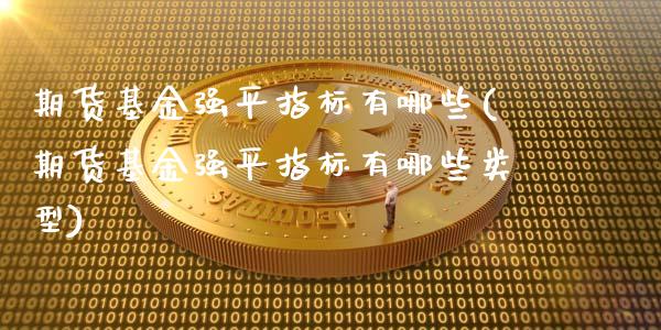 期货基金强平指标有哪些(期货基金强平指标有哪些类型)_https://m.lcpcjs.com_恒指期货保证金_第1张