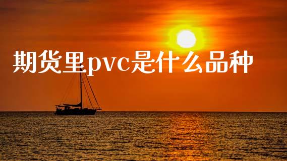期货里pvc是什么品种_https://m.lcpcjs.com_期货交易时间_第1张