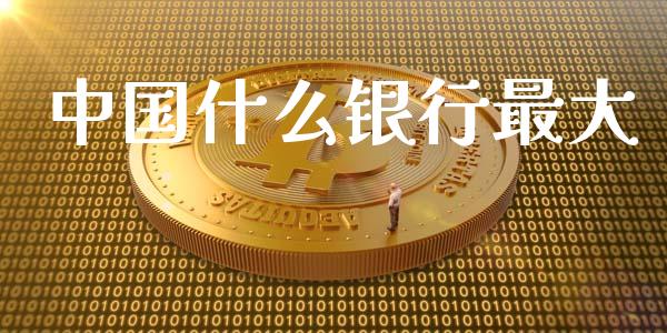 中国什么银行最大_https://m.lcpcjs.com_期货交易_第1张